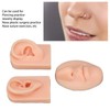 3D Nose and Mouth Model Silicone Ear Model Simulation Display
