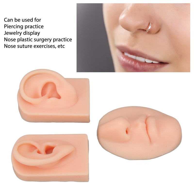 3D Nose and Mouth Model Silicone Ear Model Simulation Display