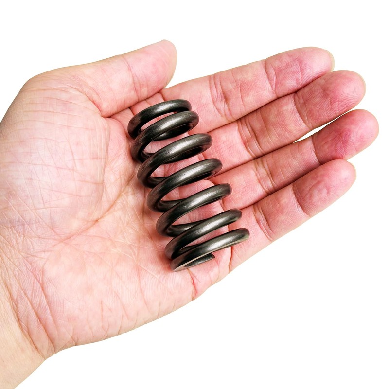 Vanlison 1218 Drop-In Valve Springs, 16 Pack Beehive Springs Set
