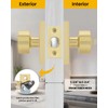 Goldenwarm Gold Door Knobs Interior, Zinc Alloy Brushed Gold Privacy