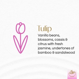 Gonesh - Potpourri - Home Decor - Natural Botanicals & Fresh Fragrances- Tulip - 12 oz. Acetate Gift Box