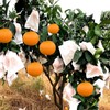HouWanA Fruit Protection Paper Bags - 100pcs White Protection Covers