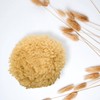 4025 Niyok® Natural Sponge • Soft Natural Bath Sponge •