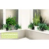 ILUVUMOREI Oval 2 Pack of 18 by 6.5 Inches Clear