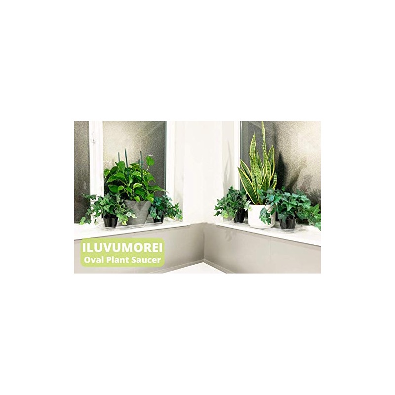 ILUVUMOREI Oval 2 Pack of 18 by 6.5 Inches Clear