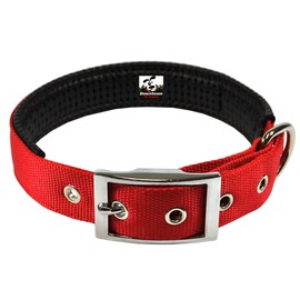 Downtown Pet Supply Deluxe Dog Collar - Padded Adjustable Dog Collar with Metal Buckle & D-Ring - Machine Washable & Water Resistant Thick Dog Collar - Red - L - Large Dog Collar