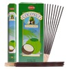 Coconut Incense Sticks and Incense Stick Holder Bundle Insence Insense
