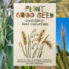 Plant Good Seed Great Grains Seed Collection For Planting, Easy to Grow, USA Grown, Non-GMO OG
