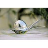Alessi Olive Oil Taste-huile
