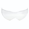 Lots of Lacquer Protection Face Shield Antifog Lens Accessory for