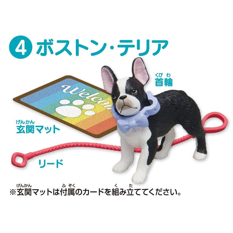 ania ania friends dog