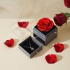 ADDWel Eternal Rose Box with 'I Love You' Necklace in