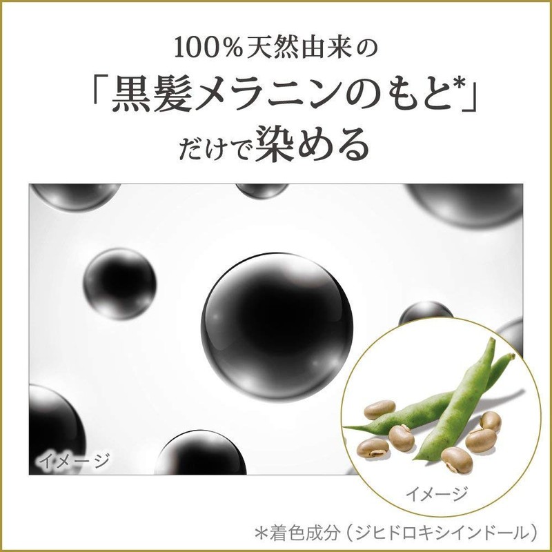 Relize Hair Color Server for Gray Hair Re-Black Unit, 5.5