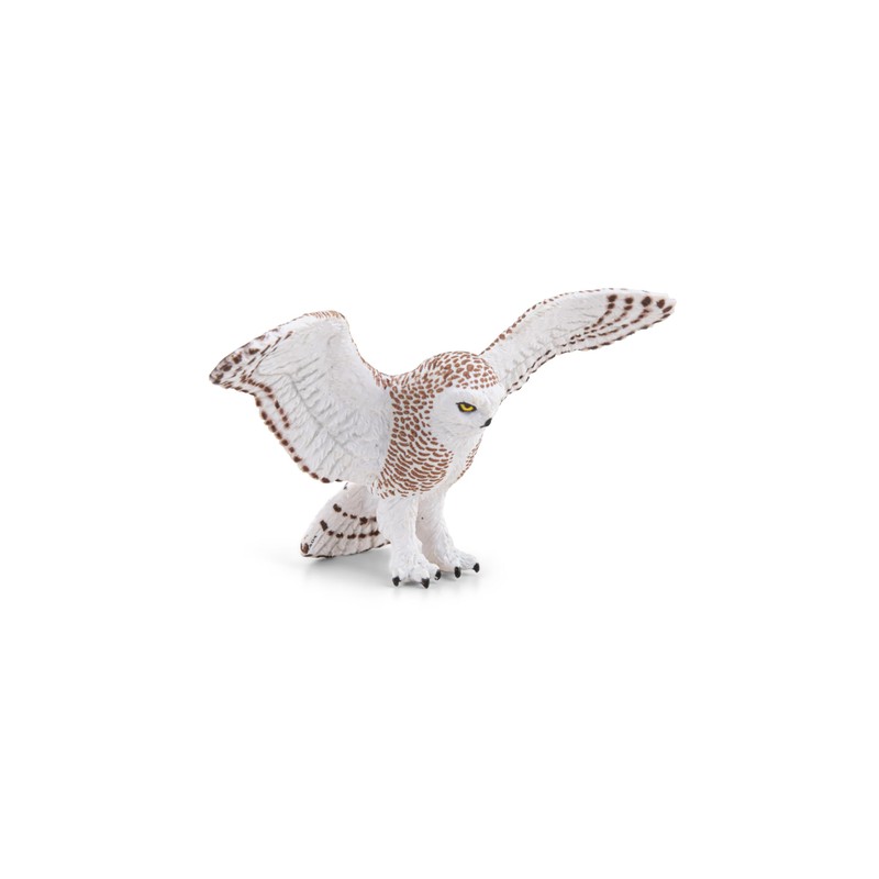PAPO Flying Owl
