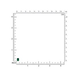 Silvershake 1.9ct. 7x5mm Natural Octagon Shape Emerald Green Agate 925 Sterling Silver Stud Post Earrings