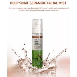 Bidameun Mist Neblina Facial Coreana De Ceramida Caracol & Cica_4pz