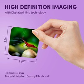 1 x quadratischer MDF-Kühlschrankmagnet – Zwerggarnelen Fisch Aquarium 44924