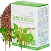 BIRCH THREE BUDS HERBAL TEA, (BETULA PANDULA ROTH) - 100%