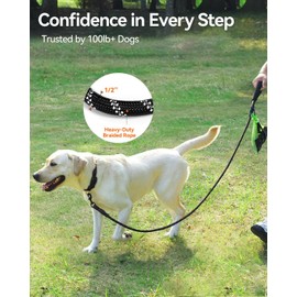 Joytale Dog Leash for Large Dogs, Heavy Duty Nylon Leashes with Comfortable Padded Handle and Highly Reflective Threads, Ideal for Walking and Training, Black, 5'×1/2''