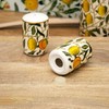 William Morris Fruits Salt and Pepper Shakers Ceramic Kitchen Serving