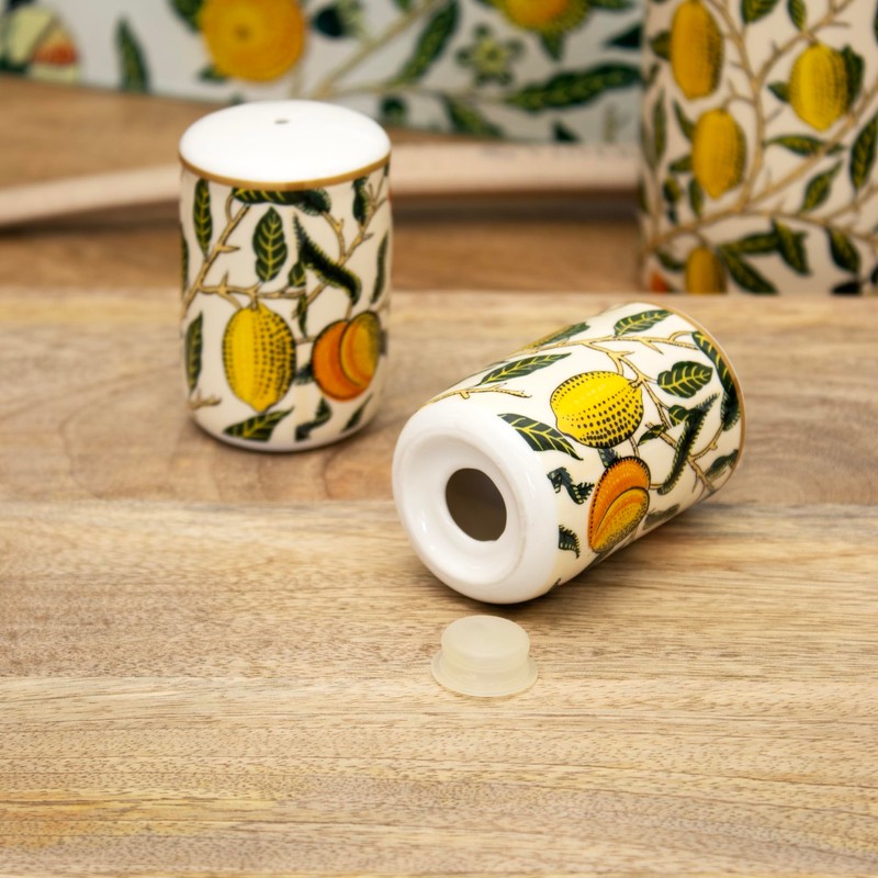 William Morris Fruits Salt and Pepper Shakers Ceramic Kitchen Serving