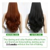 Shampoo Colorante Cabello Teñido Color Castaño | 500 Ml