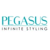 Pegasus MICOLOR 404, 7in Hard Rubber Wide Tooth Tall Styling