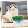 ORFOFE Soilless Hydroponic Cat Grass Planter Box Easy to Use