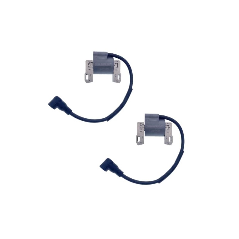 IGCLINIC 2Pcs Ignition Coil Compatible with Briggs & Stratton 401000