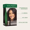 Naturigin Hair Colour - Permanent - Ebony - 1 Count