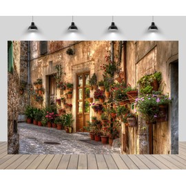 CHNYWORK 9ftx6ft Italian Pastoral Town Street Backdrop Vintage Europe Brick House Window Potted Plant Flowers Background European Travel Birthday Party Decor Kids Adults Photoshoot Props Wallpaper