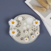 3D Silikon Kuchenform, Blumen Schokolade Silikonform, Gänseblümchen Silikonform, Blumen Kuchen