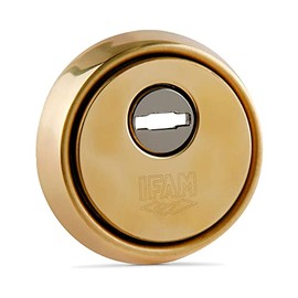 IFAM ES610 Lock Shield, Anti-Jaw and Anti Protection System, Steel Plate, Brass Color