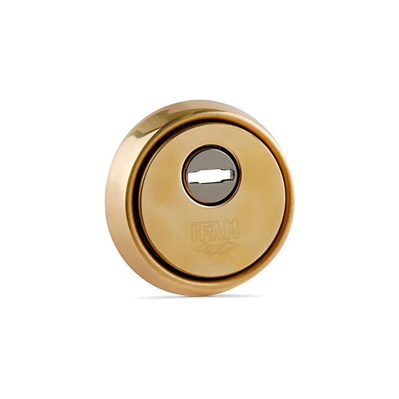 IFAM ES610 Lock Shield, Anti-Jaw and Anti Protection System, Steel