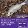 Daiwa Shoreline Shiner Z Set Upper Lanker Hunter 125S-DR 4.9