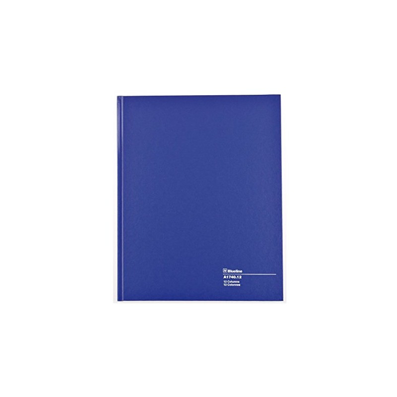 Blueline Columnar Book, Perfect Binding, 12 Columns with Description, 80