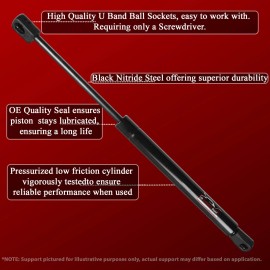 Lift Supports Depot Qty 2 Fits Honda Accord 1998 to 2002 Front Hood Lift Supports Shocks