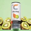 Celsius Essential Energy Sparkling Variety Pack (18 Pk.)