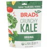 Brad's Plant Based Kale Chips, Original, 2 Oz