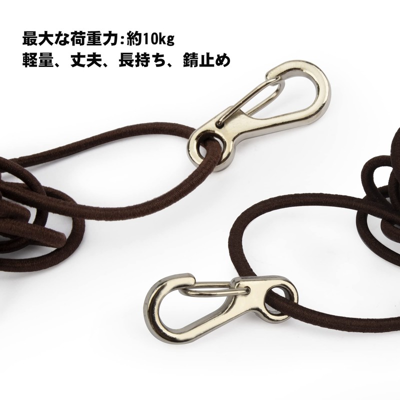 TEMLUM Carabiner, Small, Mini Shape, Set of 10, Mini Carabiner,