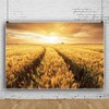 Renaiss 7x5ft Gold Wheat Field Backdrop for Photoshoot Golden Sunshine