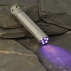 Nite Ize X5 UV LED Flashlight Titanium/Ultraviolet LED