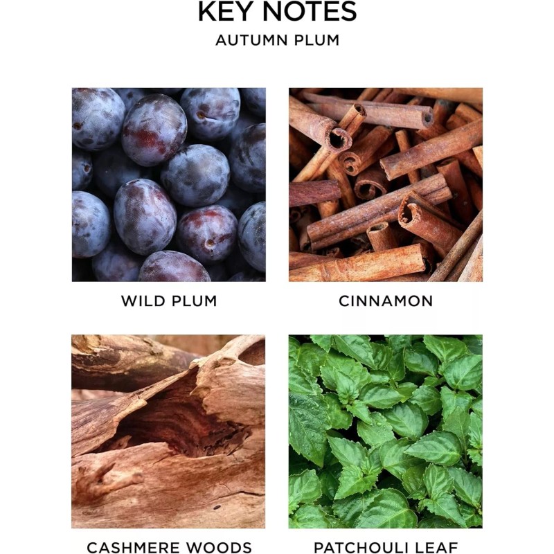 NEST New York Fragrances Reed Diffuser Autumn Plum , 5.9