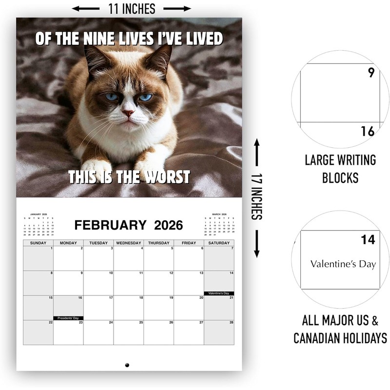 2025 Peed-Off Cats Calendar - Funny Cat Themed Gifts For