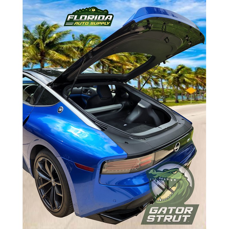 2 Rear Hatch Liftgate Lift Supports, Compatible with: 2003-2008 Nissan