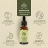 ORE Organic Oregano Oil Supplement, 100% Natural, 80% Carvacrol, Lippia