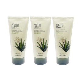 The Face Shop Herb Day Facial Cleansing Foam Aloe 170ml x 3 / 더페이스샵 허브데이 페이셜 클렌징폼 알로에 170ml x 3