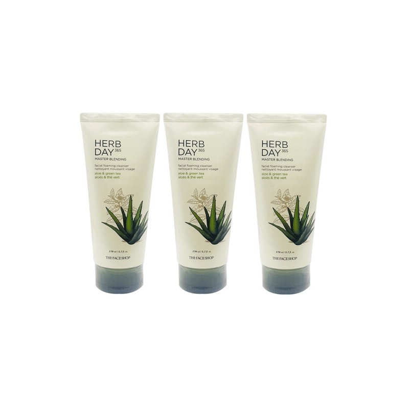 The Face Shop Herb Day Facial Cleansing Foam Aloe 170ml
