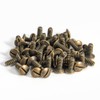 Henne Bery 3/8" Long 6-32 Thread, Oval Head Milled Slot