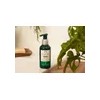 Exfoliante Facial The Body Shop Edelweiss Peel 100ml
